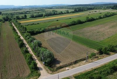 Teren Intravilan de Vanzare - Parcelabil - 2