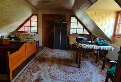 De Vanzare Casa si Cabana 74 ari Viille Satu Mare - 8