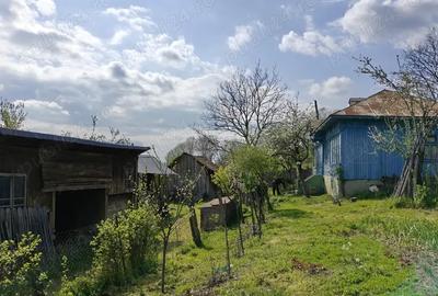 Casă cu 3 camere cu Teren 10300 Mp în Ghercești - 8