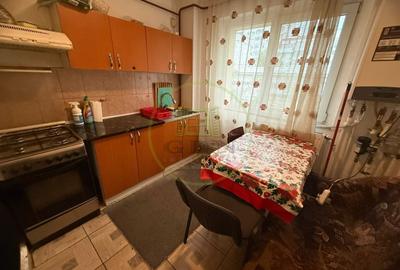 Apartament cu 2 camere semidecomandat, mobilat în Lăpuș - 6