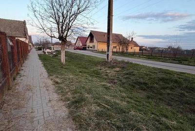 Apartament cu 2 camere decomandat în Jimbolia