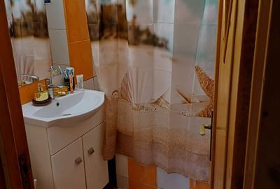 Apartament cu 3 camere decomandat în Bartolomeu - 15