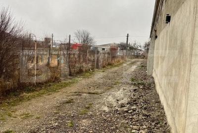 Hala 360 mp-Radauti - 7