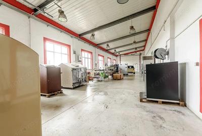 Hale depozitare/produc?ie 2.000 mp si 10.000 mp teren in Pecica - 12