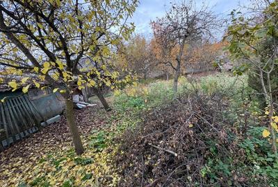 Casă individuală cu 7 camere cu Teren 943 Mp în Central - 5