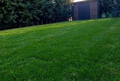 Duplex, Parcul Terra Dumbrăvița - 7