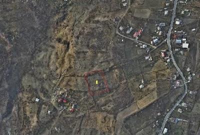 Teren de 4000 mp, în Deleni - 2