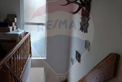 Casă cu 7 camere cu Teren 6965 Mp în Panaci - 14