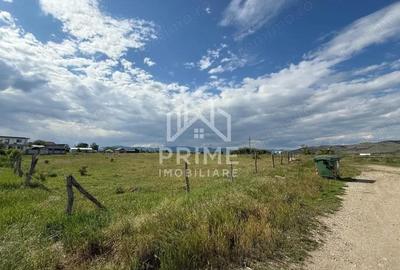 Teren intravilan de vanzare 5.500 mp, Sebe? - 1