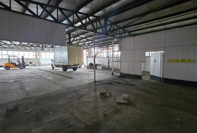 Spațiu industrial, în Măgurele - 12