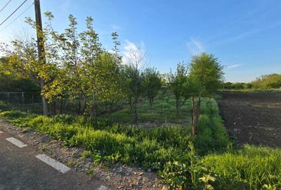 Teren de 1200 mp, în Valea Argovei - 2