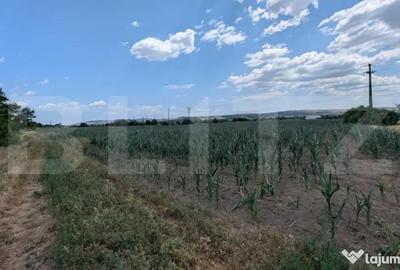 Teren de 3900 mp, în Central - 1