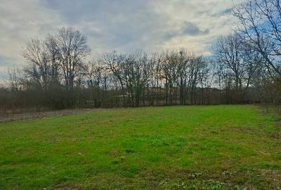 Casă individuală cu 3 camere cu Teren 2800 Mp în Gherteniș - 15