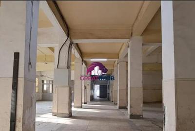 Hala de inchiriat Drumul intre Tarlale Hala de inchiriat Drumul intre Tarlale - 4