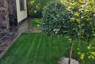 Casă cu 5 camere cu Teren 4000 Mp în Pantelimon - 3