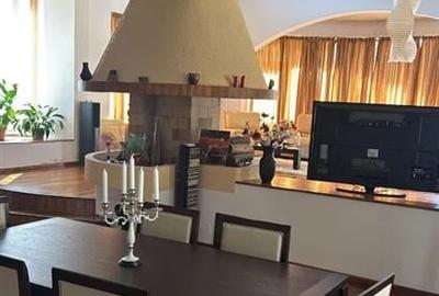 Vila  S+P+1E+M / Erou Iancu Nicolae / stradal / 1582mp teren - 6