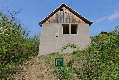 Casă cu 2 camere cu Teren 874 Mp în Covăsinț - 3