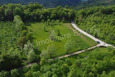 Teren de vanzare in comuna Corbi, jude? Arge?. - 11