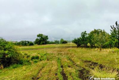 Oportunitate de investitie! Teren extravilan, Lomb! - 3