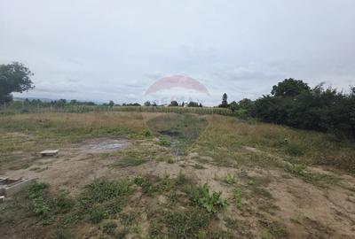 Casă individuală cu 4 camere cu Teren 6110 Mp în Girov - 42