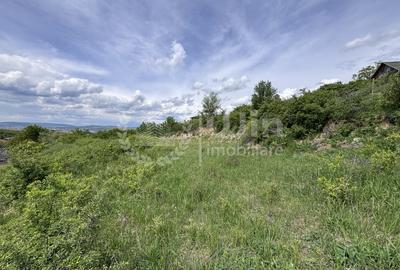 Teren Construcții intravilan de 959 mp, în Dezmir - 2