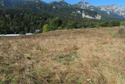 VANZARE TEREN INTRAVILAN SINAIA-CUMPATU Strada Zamora-9.801 mp-Comision 0% - 28