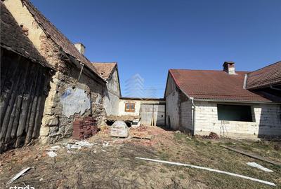 Casă cu 2 camere cu Teren 4000 Mp în Cetate - 8