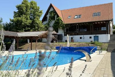 Casa cu piscina Pensiune Restaurant - Pe malul lacului din Paleu - IMOBIHOR - 1