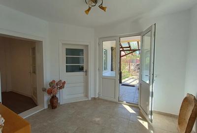Casă cu 5 camere cu Teren 2509 Mp în Icoana - 3