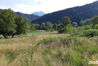 Teren de 4150 mp, în Drăgănești (Brezoi) - 9