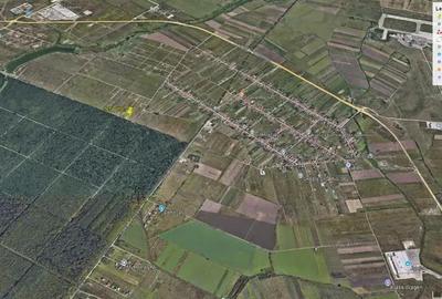 Teren de 914 mp, în Dumbrăvița