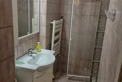 CISMIGIU-SALA PALATULUI GARSONIERA DUBLA 48MP CU CENTRALA PROPRIE RENOVATA ACUM CISMIGIU-SALA PALATULUI GARSONIERA DUBLA 48MP CU CENTRALA PROPRIE RENOVATA ACUM - 11