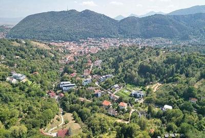 Teren intravilan Brasovul Vechi - 12