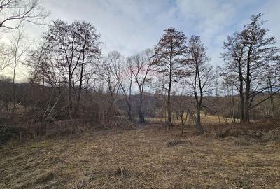 Teren Plaiu_Provita de Sus- intravilan 5373 mp_deschidere... - 8