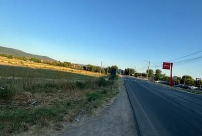 TEREN DE VANZARE Moldova Noua - direct proprietar - 2