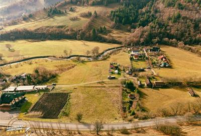 FILM! Teren cu potential, 6.700 mp, langa drumul principal, - 7