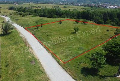 Teren de vanzare in apropiere de Curtea de Arge?. - 1