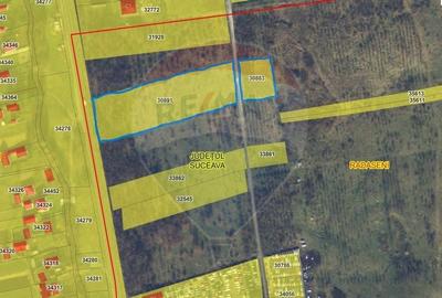 Teren agricol extravilan de 10000 mp, în Rădășeni - 3