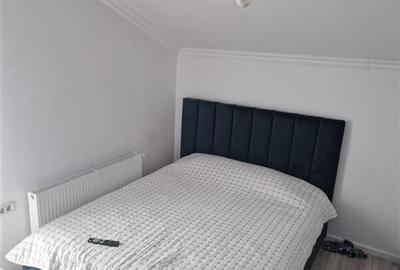 Ocazie ! Casa individuala Sanandrei - 20