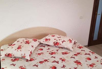 Vila de inchiriat - 12