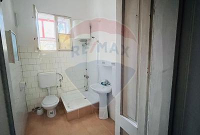 Casă individuală cu 3 camere cu Canalizare în Eminescu - 12