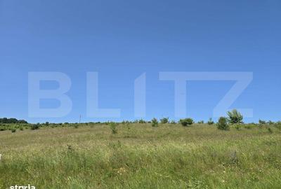 Spațiu comercial, în Sălicea - 4