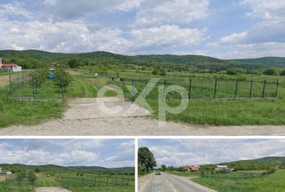 Teren de vanzare Baiculesti AG, 7000mp, 7km pana la A1, 25m - 1