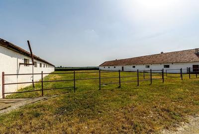 Fermă Mândruloc 2,5 ha - 7