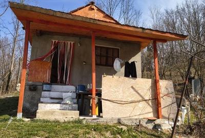 Casă cu 2 camere în Telega - 4
