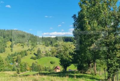 Teren de 2500 mp, în Central - 5