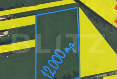 Teren extravilan 12000mp. Periferie Sud - 2