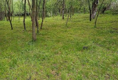 Teren de 1860 mp, în Valea Unghiului - 6