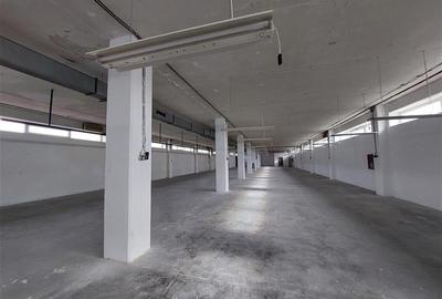 Spatiu multifunctional, P+E, Micalaca - 3