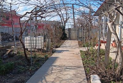 Casă individuală cu 3 camere cu Teren 1329 Mp în Jurilovca - 7